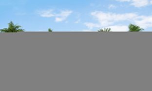 Dream 2 - Palmera: Venice, Florida - Neal Communities