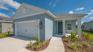 Dream 2 - Canoe Creek: Parrish, Florida - Neal Communities
