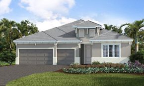 Avelina - Venice, FL