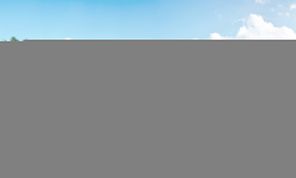 4203 Pegasus Way (Brilliance)