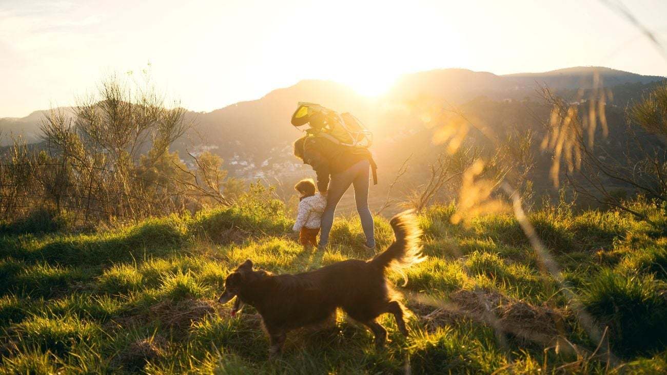 The Estates Collection at Bluff Haven - Georgetown, TX