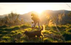 The Estates Collection at Bluff Haven: Georgetown, Texas - Risewell Homes