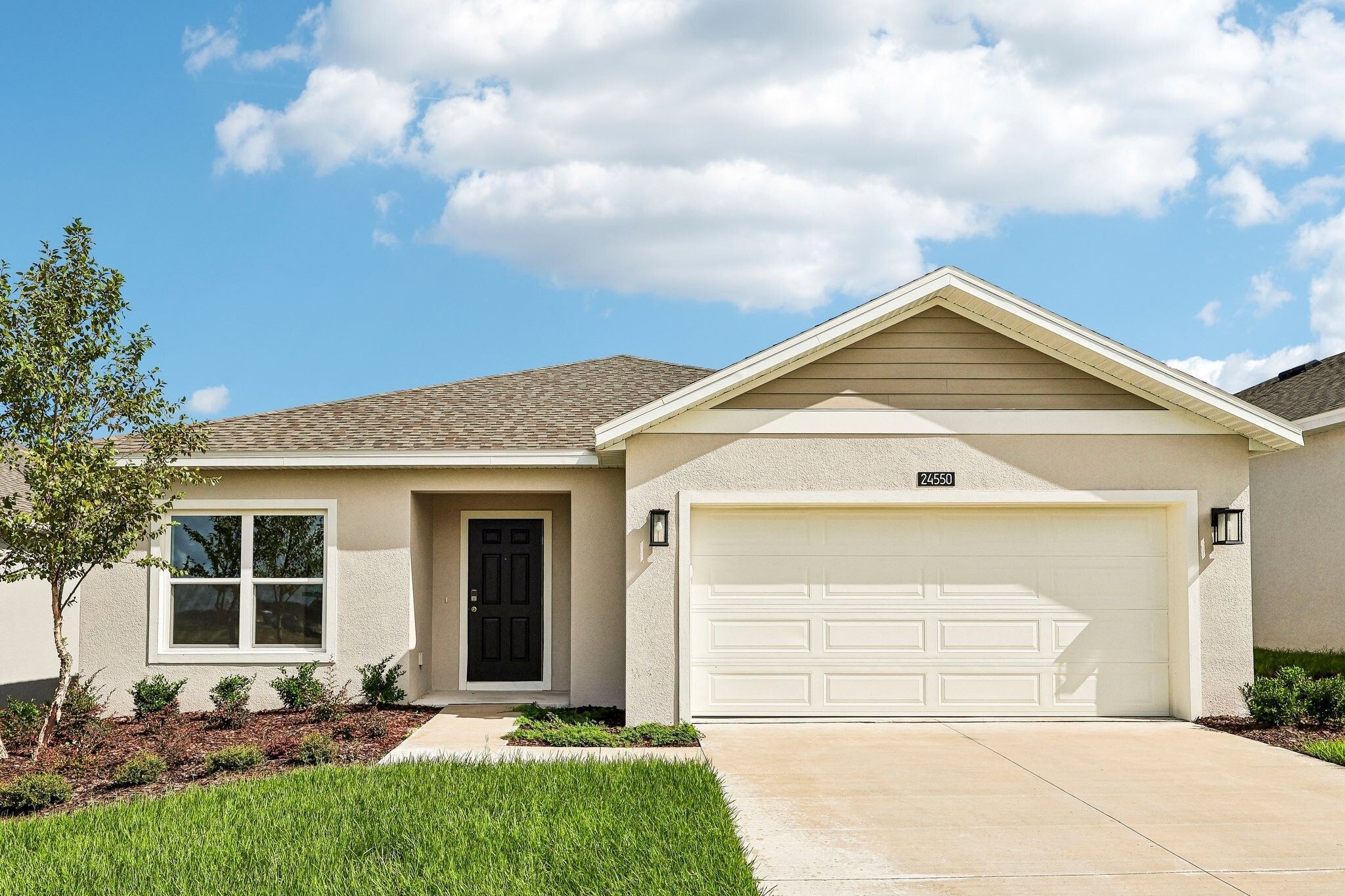 Luna - The Manors at Hodges Reserve: Howey In The Hills, Florida - Risewell Homes