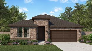 Levi - The Canopies: New Caney, Texas - New Home Co.