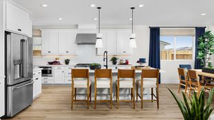 Plan 5001 - The Residences at Arbor Ranch: Elk Grove, California - New Home Co.