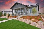 Harmony Courtyard Homes - Fort Collins, CO