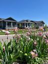 Harmony Courtyard Homes por Thrive Home Builders en Fort Collins-Loveland Colorado