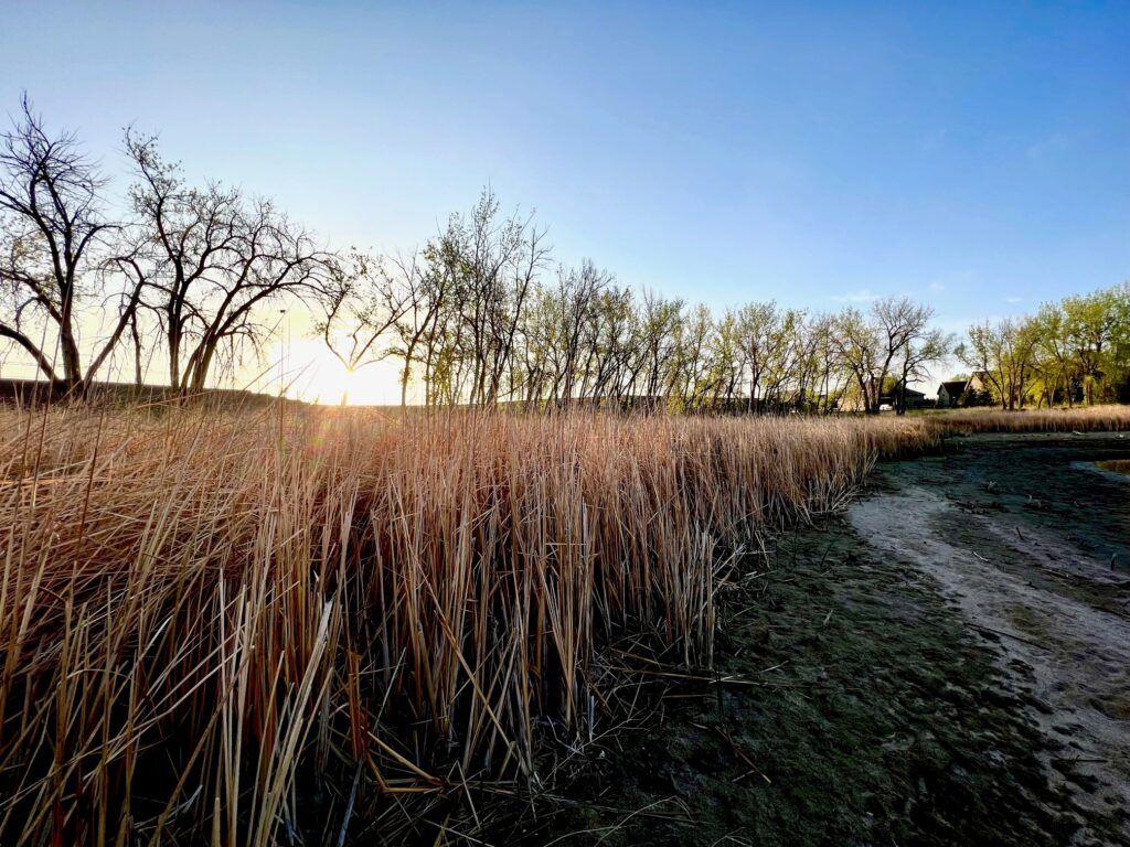 Sonders Patio Homes by T