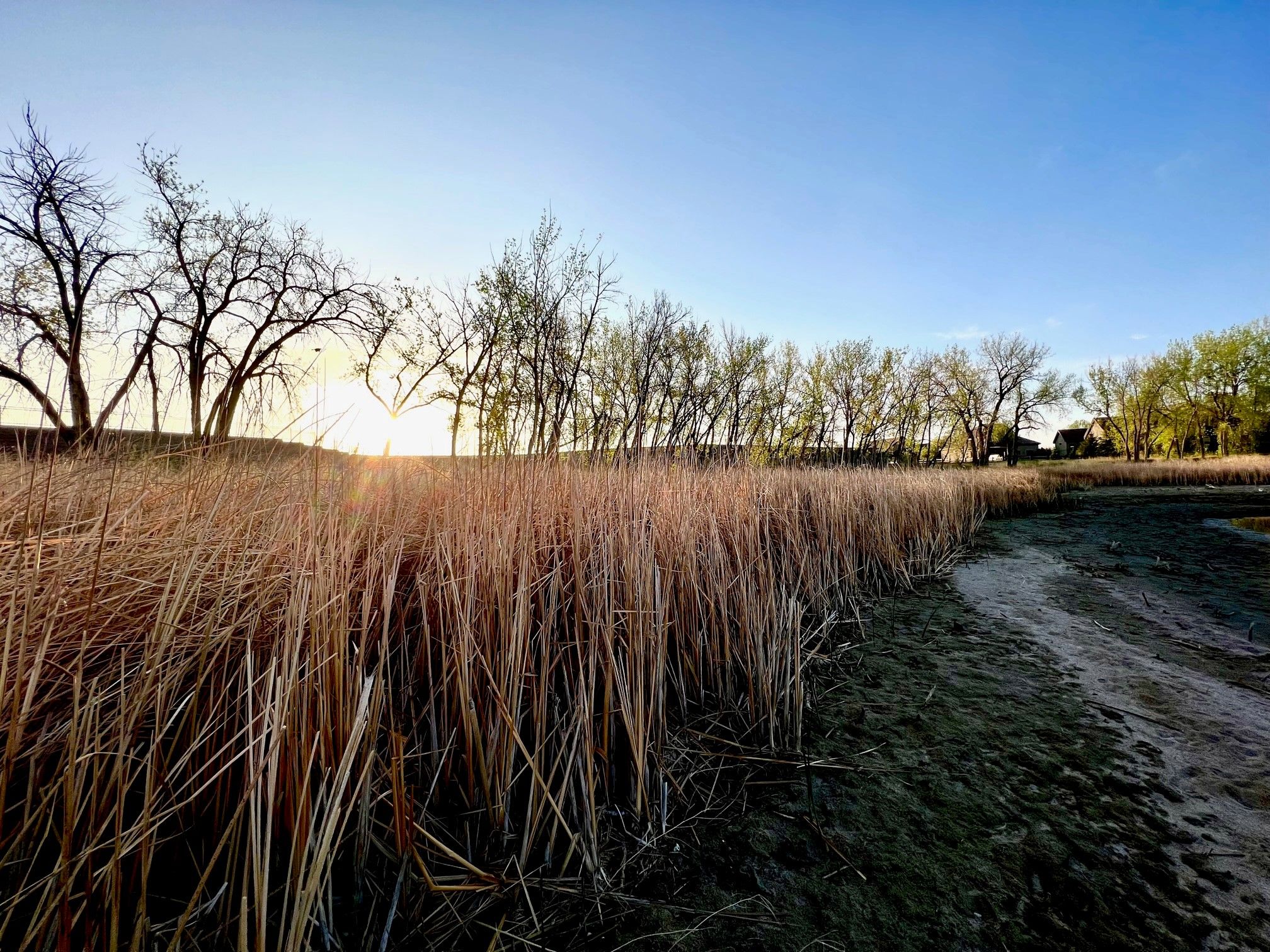 Sonders Villas by Thrive Home Builders