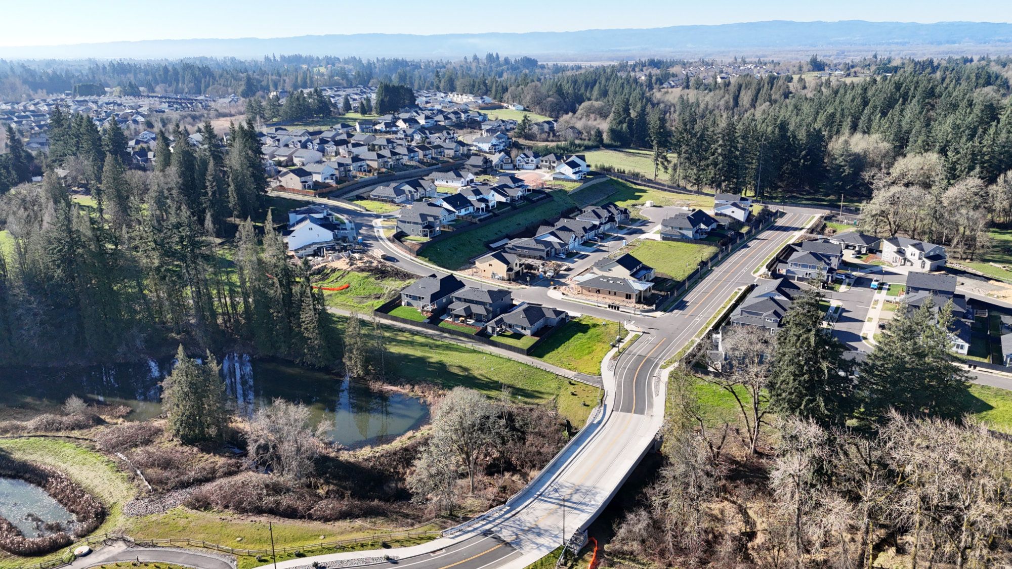 homes in Paradise Pointe by New Tradition Homes