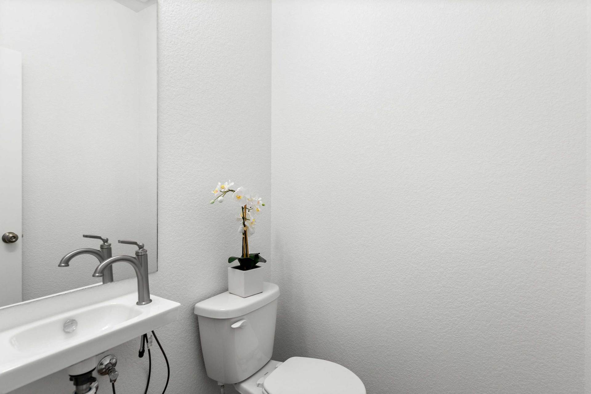 Powder Bathroom