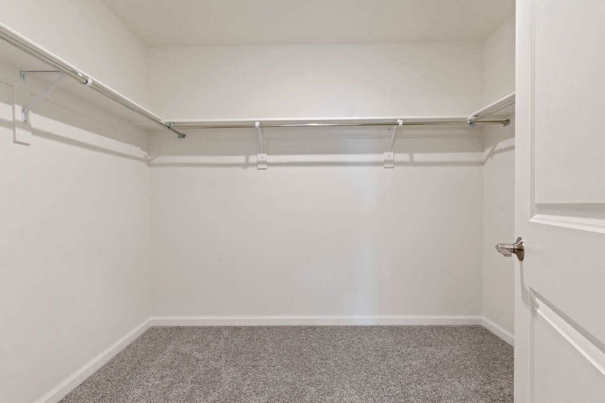 Wonder Interior