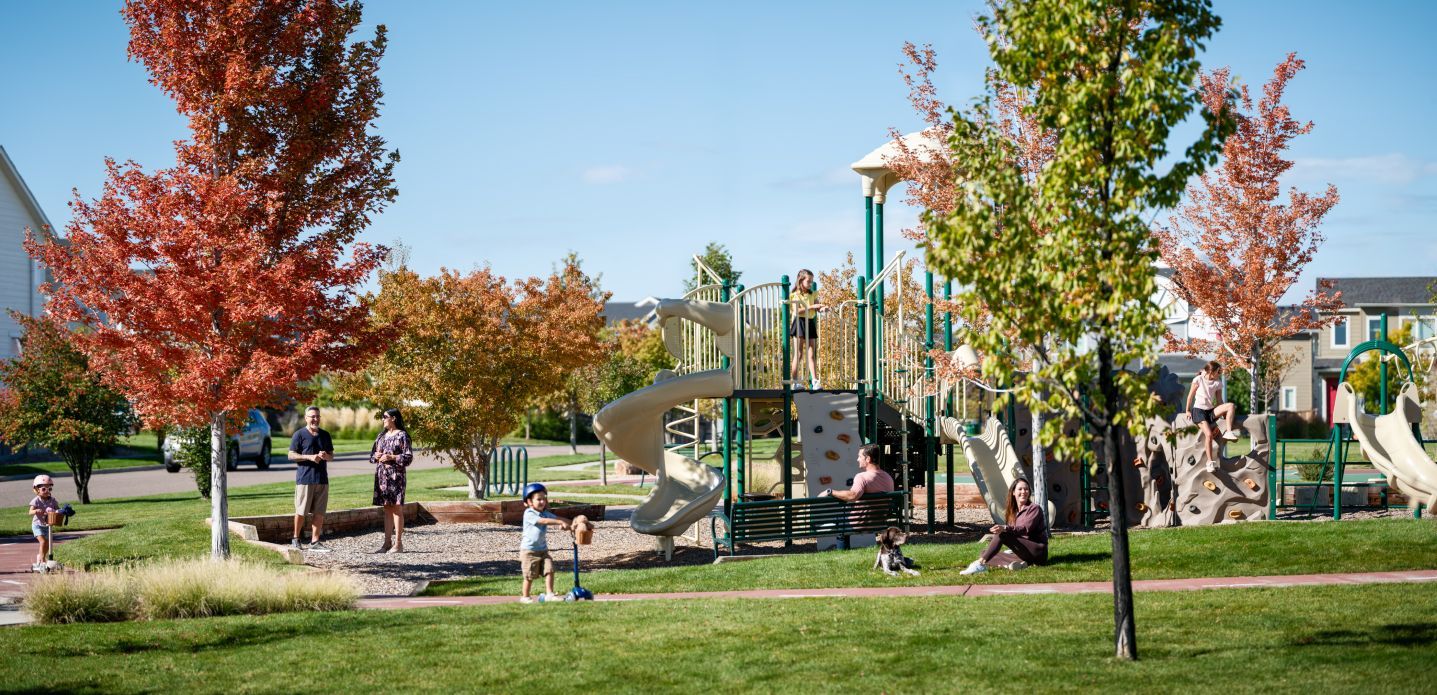 Bright, cheerful playground with plenty of space for kids to climb, slide, and let their imaginations run wild.