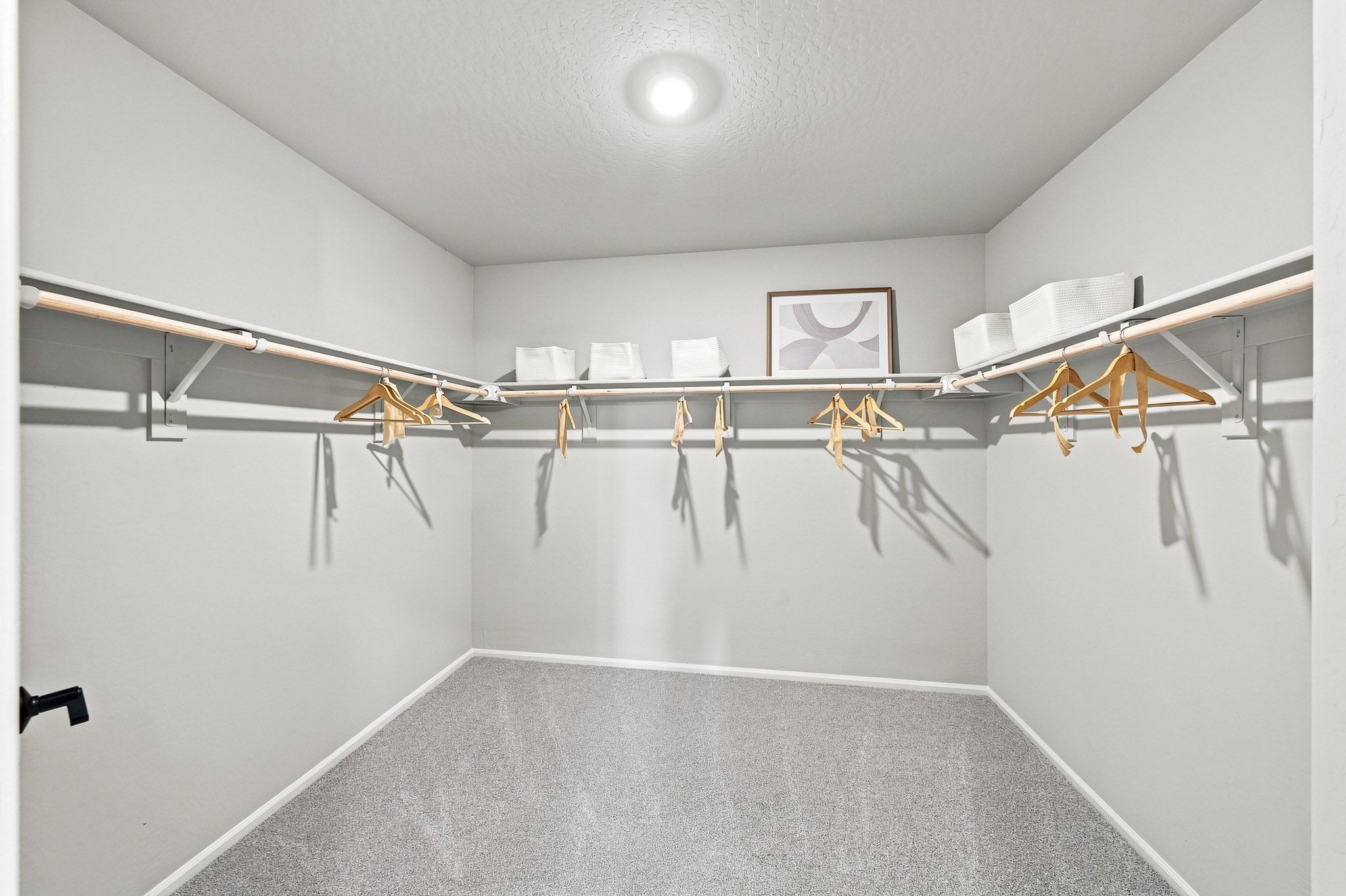 Wonder Interior