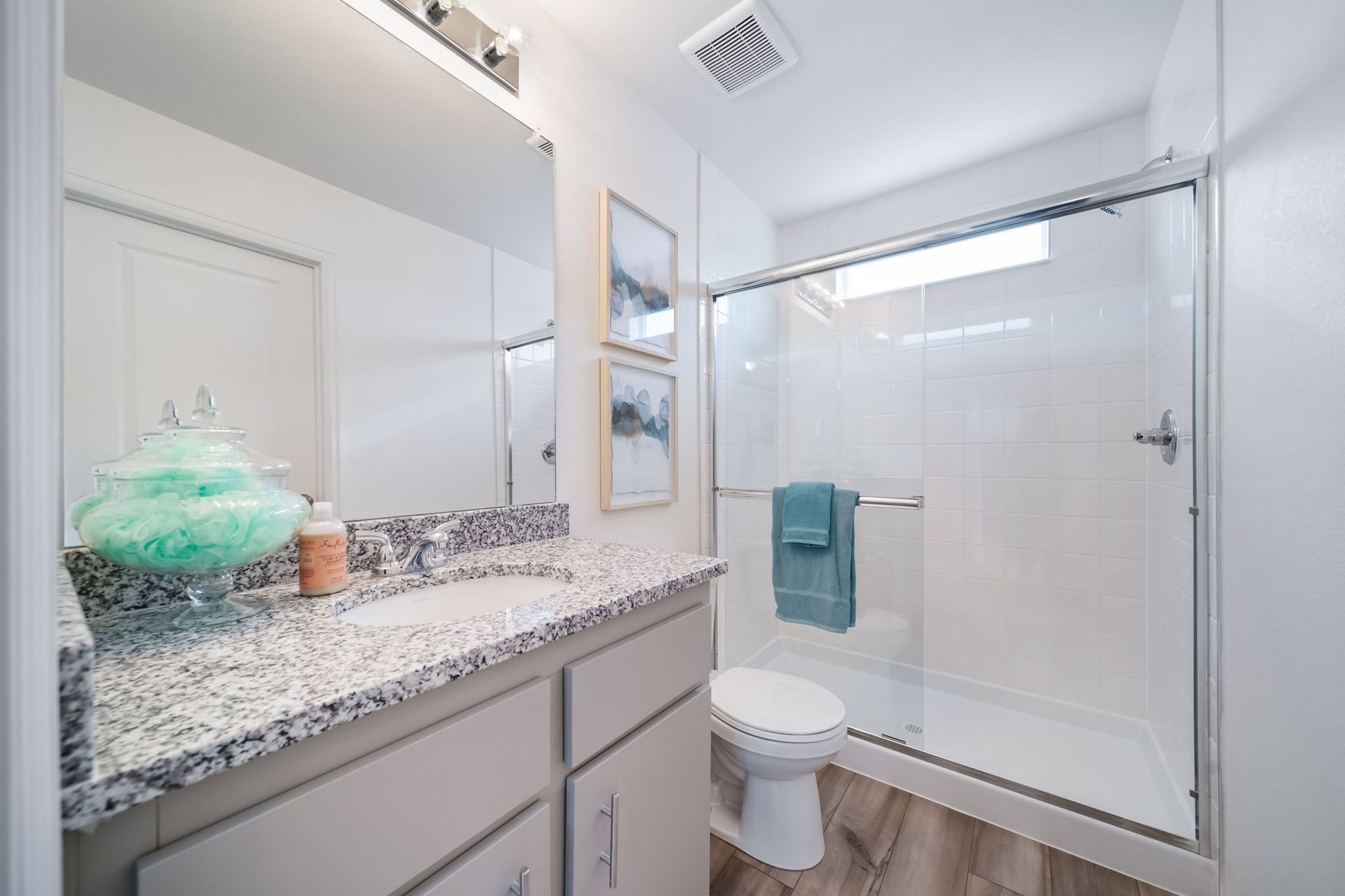 Primary bathroom