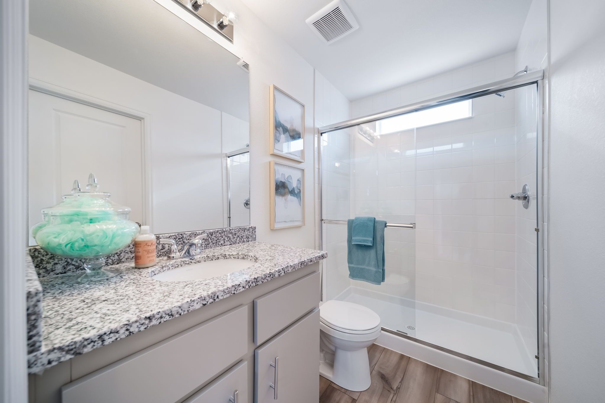 Primary bathroom