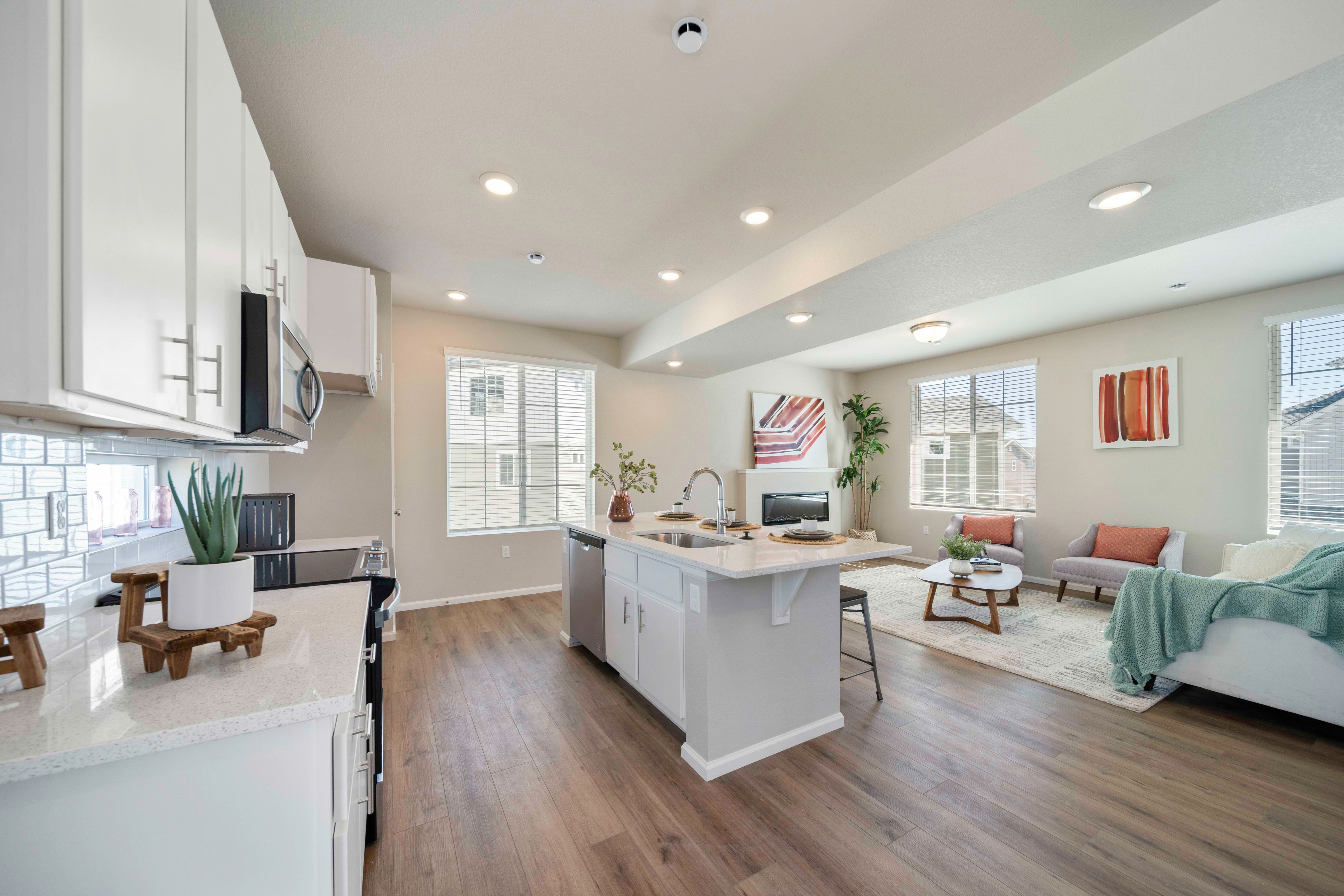 Kitchen/Great Room
