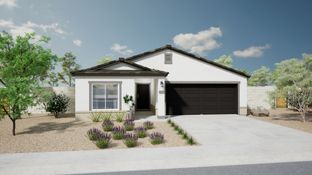 Barberry - Cross Creek Ranch: Coolidge, Arizona - Oakwood Homes