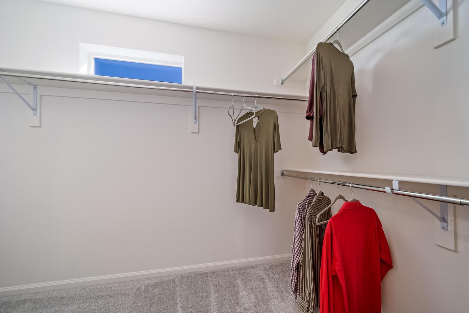 Primary Closet