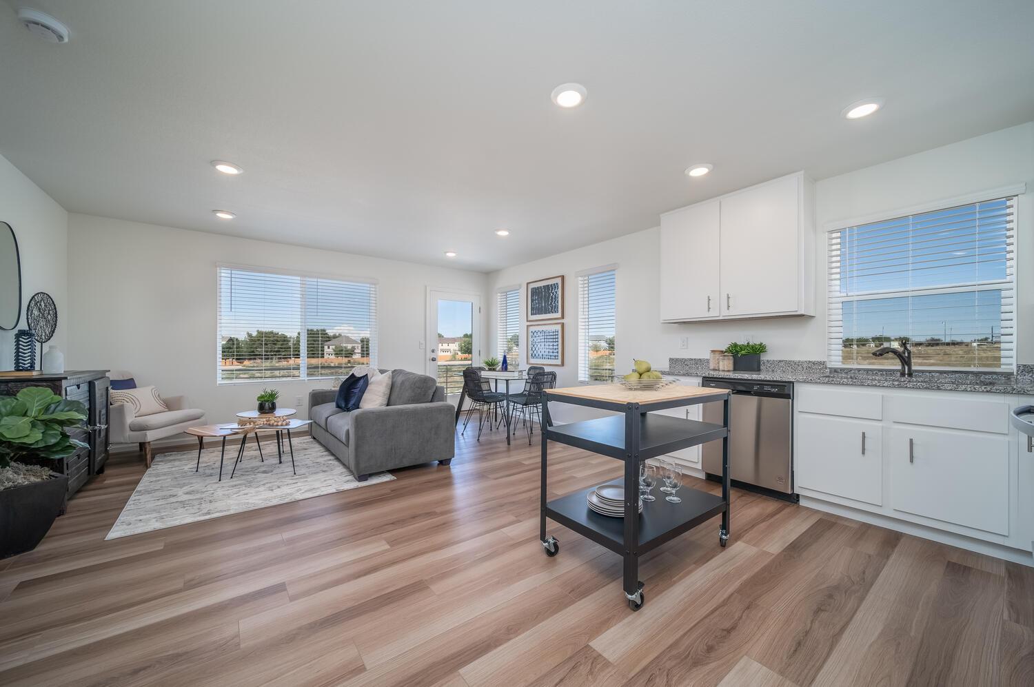 Kitchen/living/dining