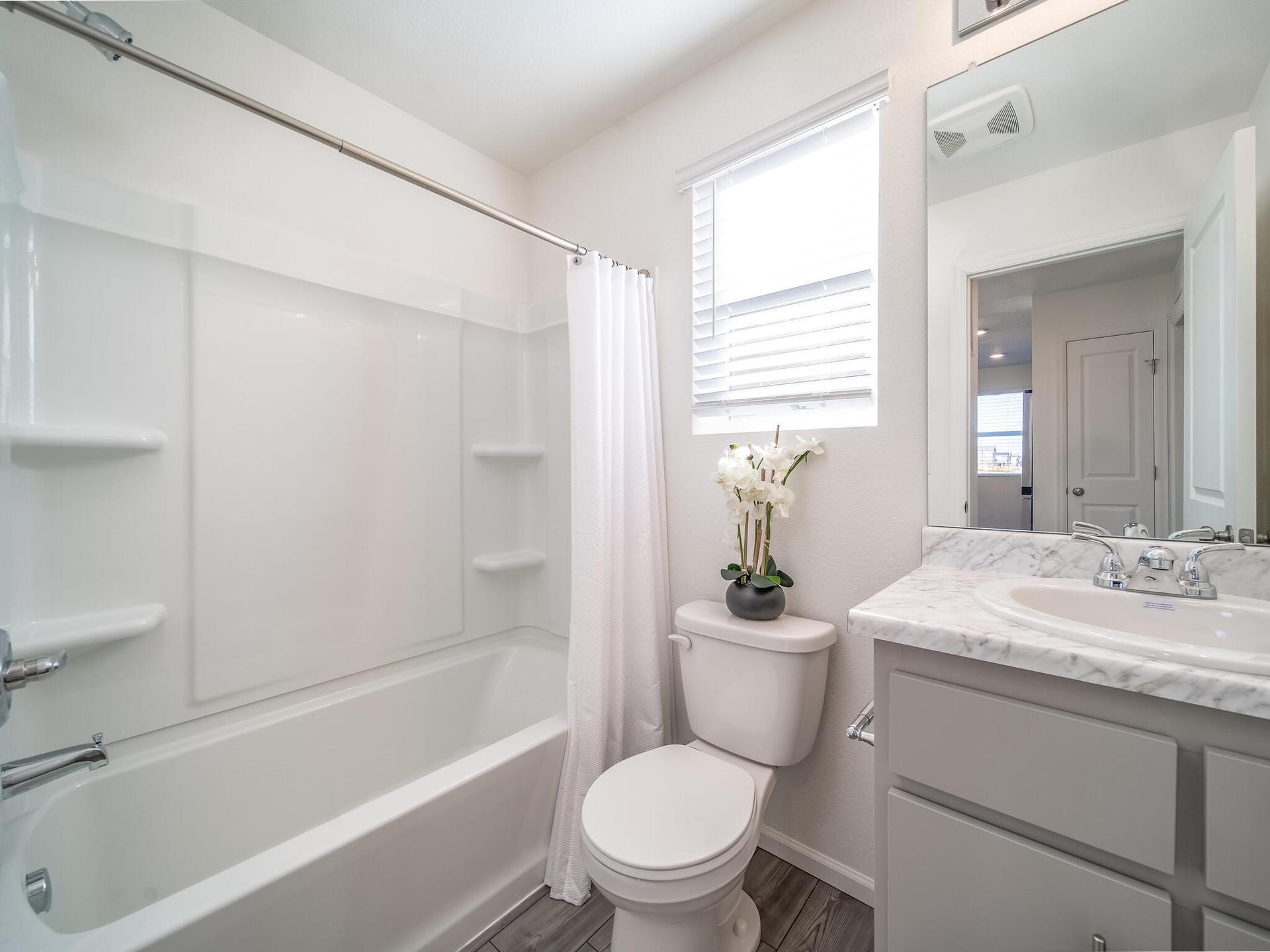 AD Albright Guest Bathroom