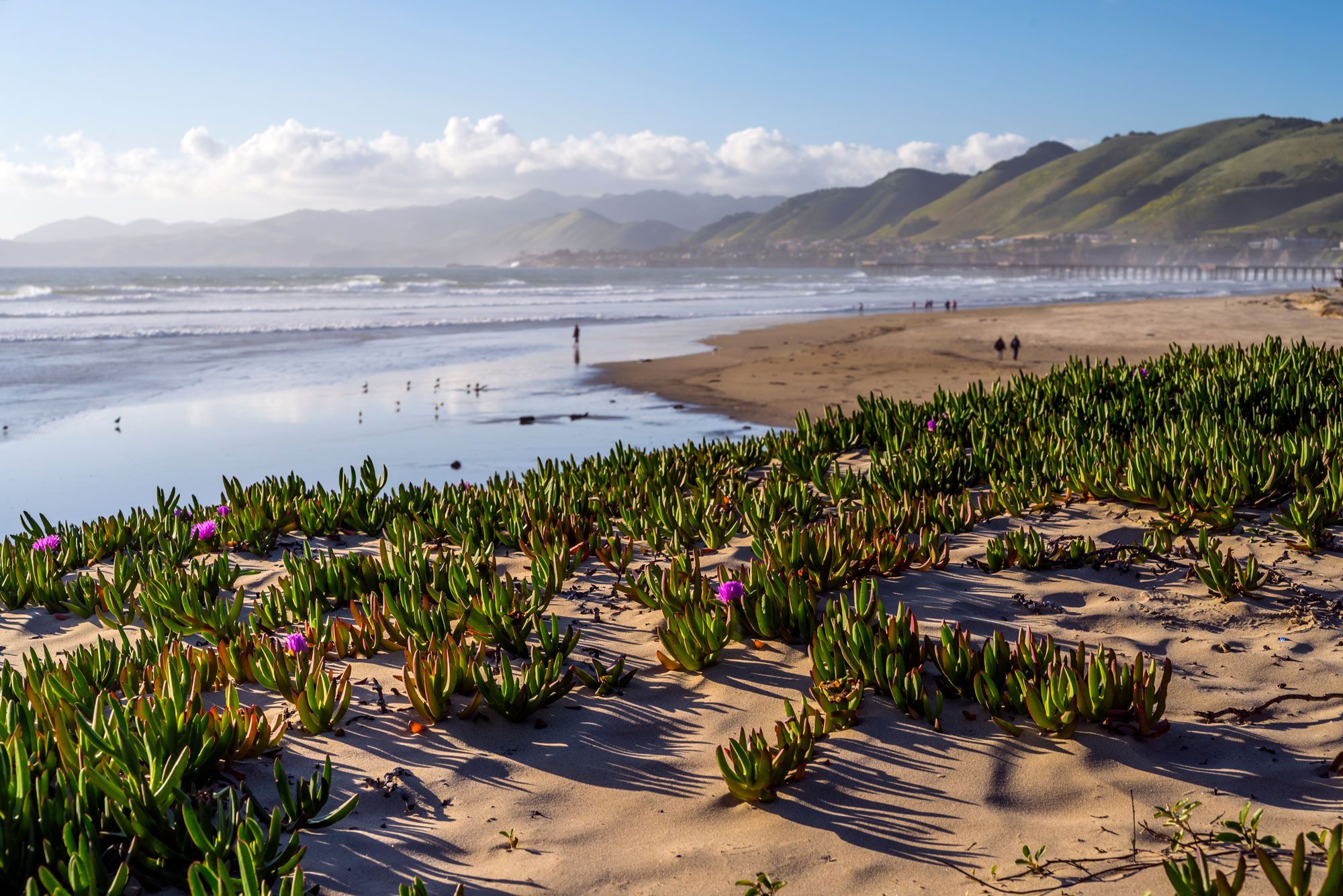 Ocean Terraces at Gateway