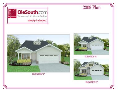 2309 Elevation DEF Floor Plan - Ole South