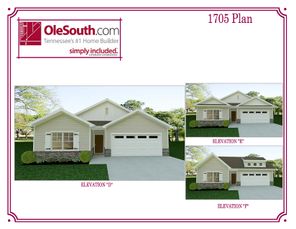 7003 Sully Ct (1705 Elevation DEF)