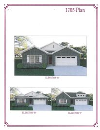 509 Tryon Trace Lot 263 - Brandon Woods: Spring Hill, Tennessee - Ole South