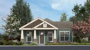 Parker - The Heights at Uptown Celina: Celina, Texas - Olivia Clarke Homes