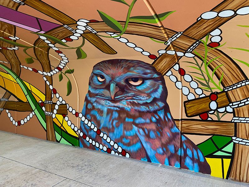 Tunnel System for Safe Pedestrian Travel Throughout Calesa Township