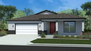 Begonia - Calesa Township: Ocala, Florida - Calesa Township by Colen Built