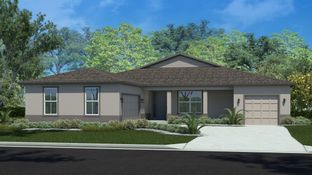Cypress - Calesa Township: Ocala, Florida - Calesa Township by Colen Built