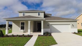 Jasmine - Calesa Township: Ocala, Florida - Calesa Township by Colen Built