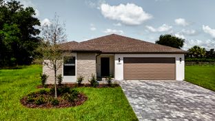 1M-FLEX - On Lake Ella: Lady Lake, Florida - Onx Homes