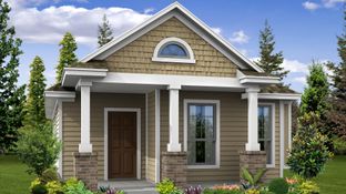 Mason - Trace: San Marcos, Texas - Pacesetter Homes Texas