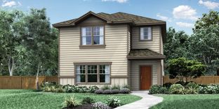 Canton - Trace: San Marcos, Texas - Pacesetter Homes Texas