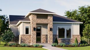 Acadia - Easton Park: Austin, Texas - Pacesetter Homes Texas