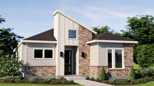 Balboa - Easton Park: Austin, Texas - Pacesetter Homes Texas