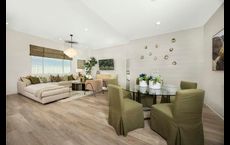 Pacific Daisy: Palmdale, California - Pacific Communities