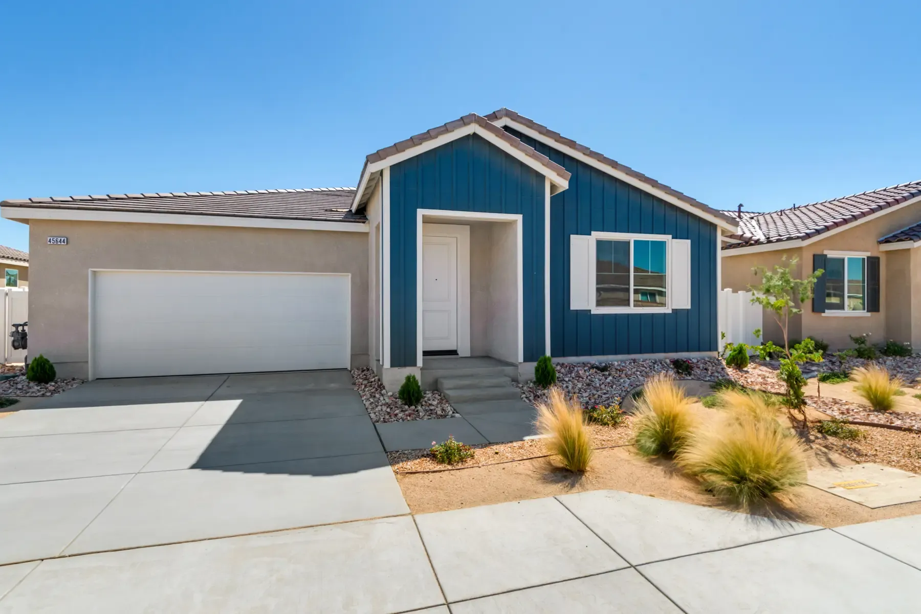 45644 Rachel (Lily Plan 2)