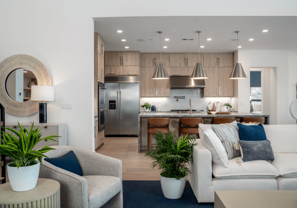 Living Room Kitchen