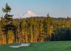 McCormick Trails - Port Orchard, WA