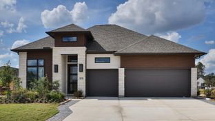 2695M - Artavia 55' - Valencia: Conroe, Texas - Perry Homes