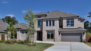 15831 Mossy Juniper Lane (4036W)