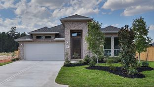 2251W - Grand Central Park 50': Conroe, Texas - Perry Homes