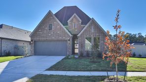 14735 Band Tailed Pigeon Court (2180P)