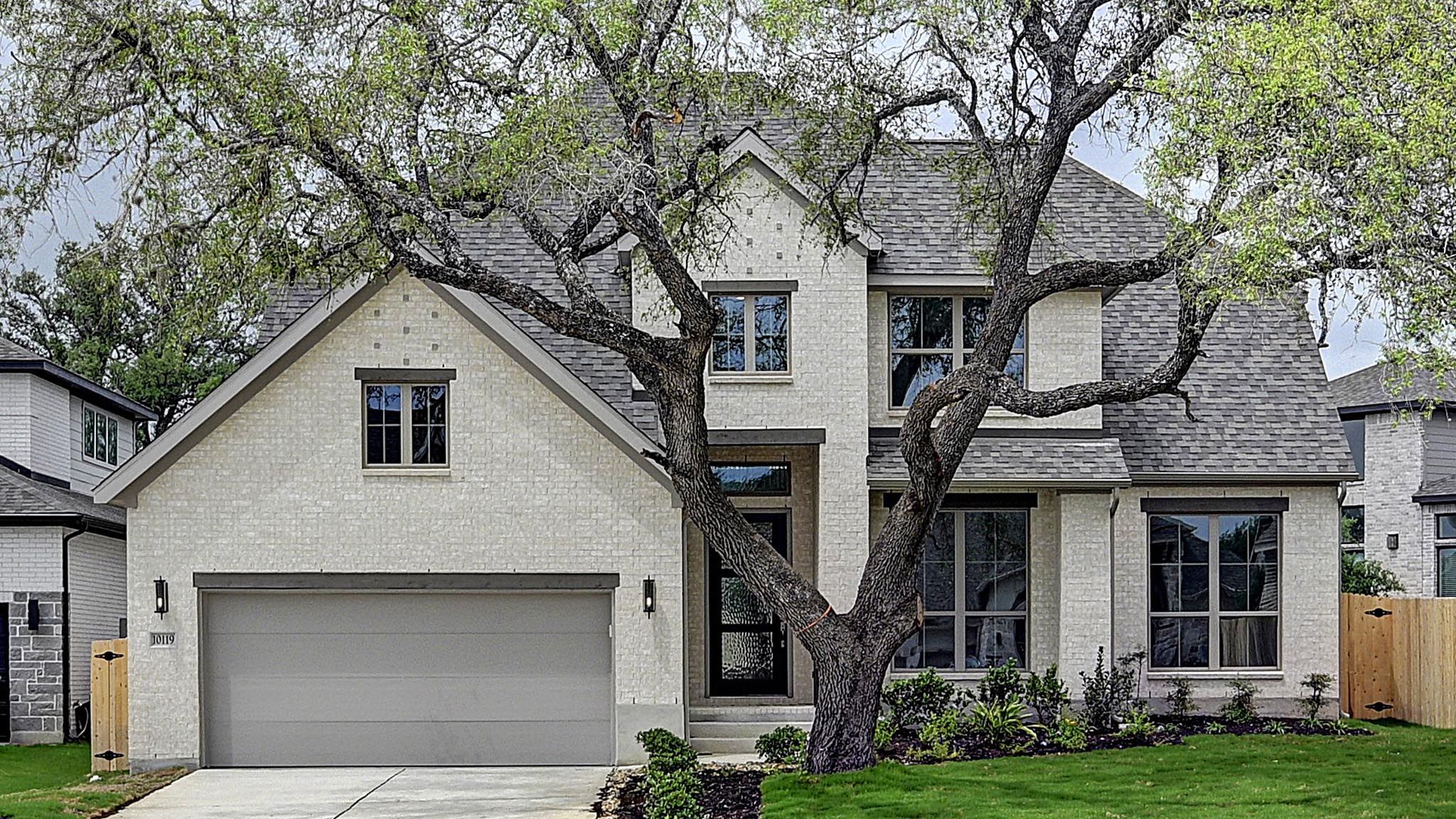 10119 Dapple Colt (3399W)