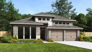 206 Sasparilla (2574W)