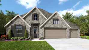 113 Pin Oak (2995W)